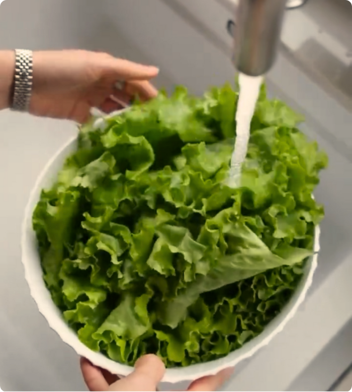 Fresh green lettuce being rinsed under running water