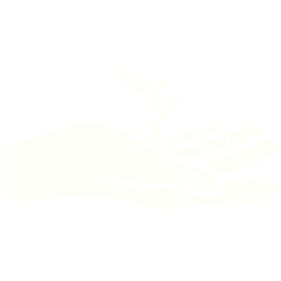 White hand holding a small seedling