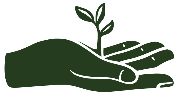 Hand holding a young seedling