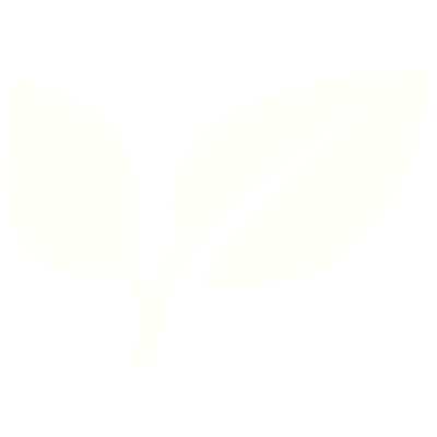 White seedling sprout representing choosing your plants