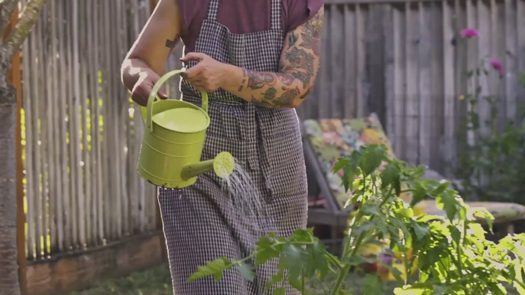 Gardener watering young plants with a green watering can